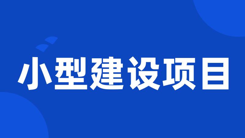 小型建设项目