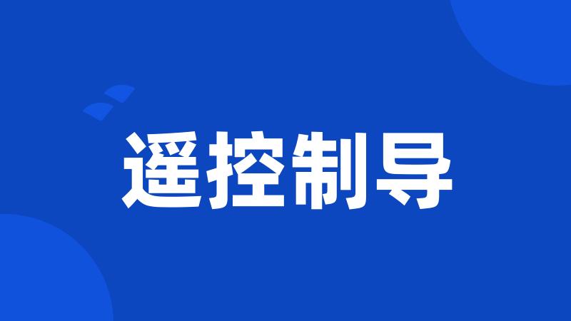 遥控制导