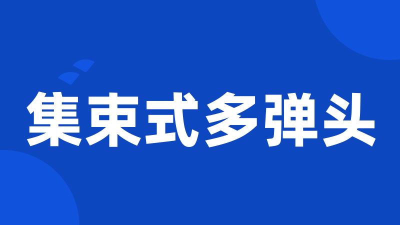 集束式多弹头