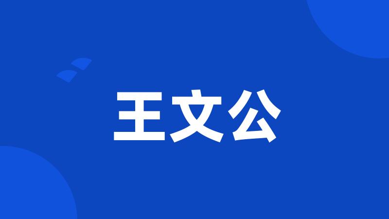 王文公