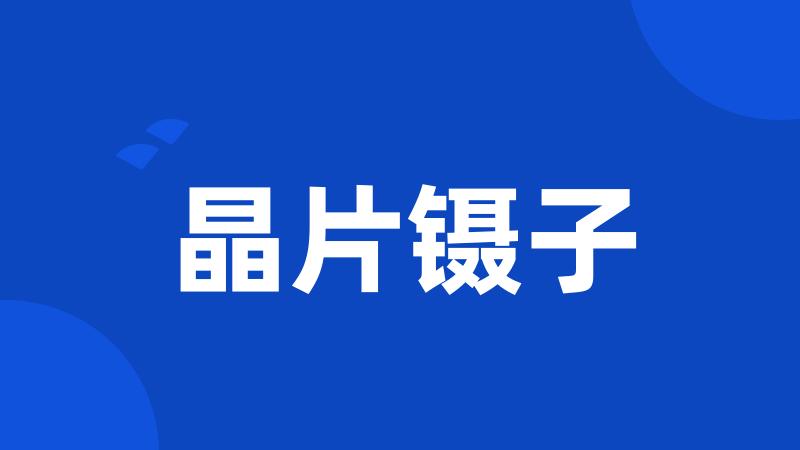 晶片镊子