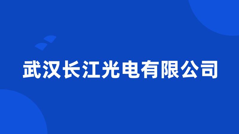 武汉长江光电有限公司