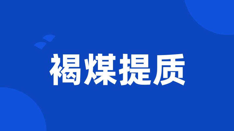 褐煤提质