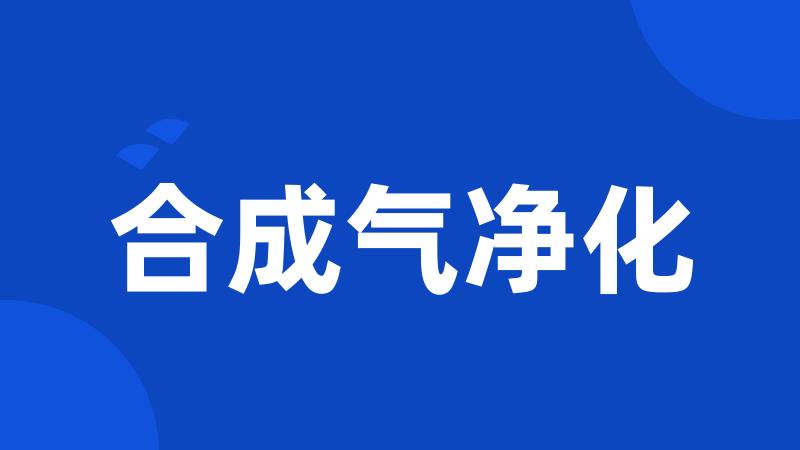合成气净化