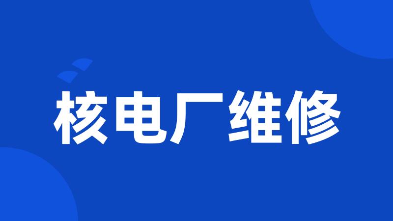 核电厂维修
