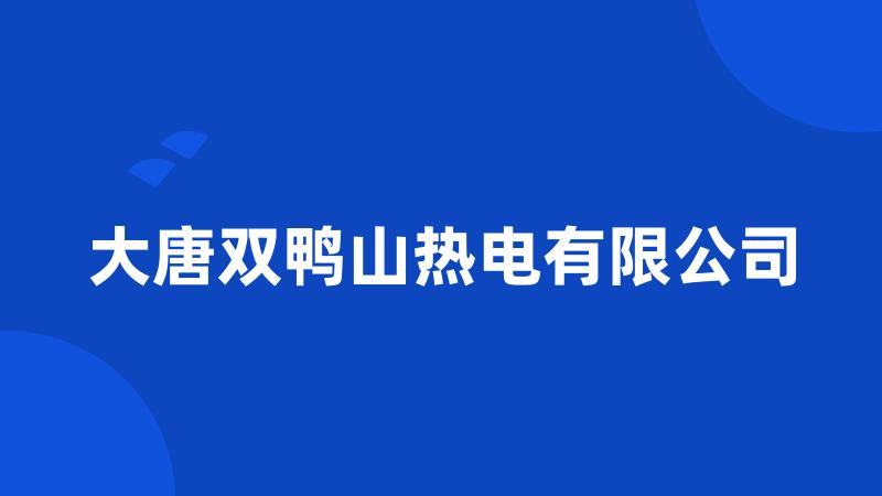 大唐双鸭山热电有限公司