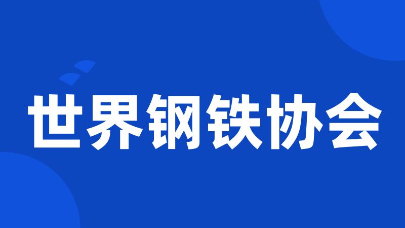 世界钢铁协会