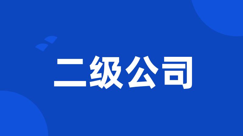 二级公司