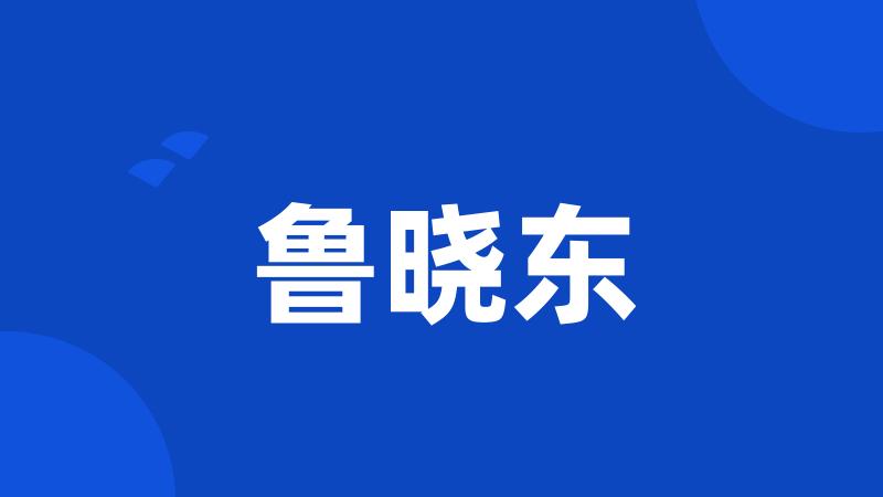 鲁晓东