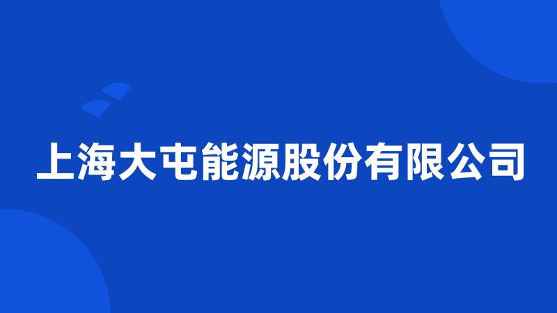 上海大屯能源股份有限公司