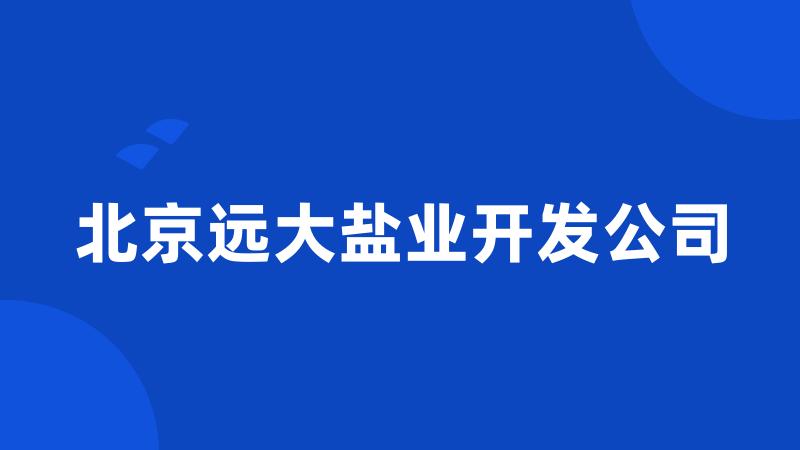 北京远大盐业开发公司