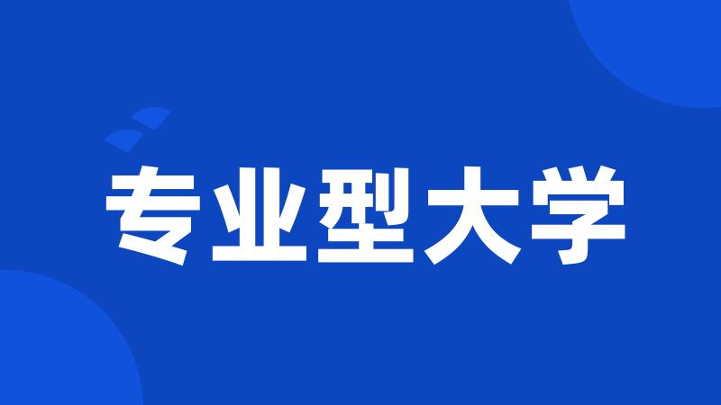 专业型大学