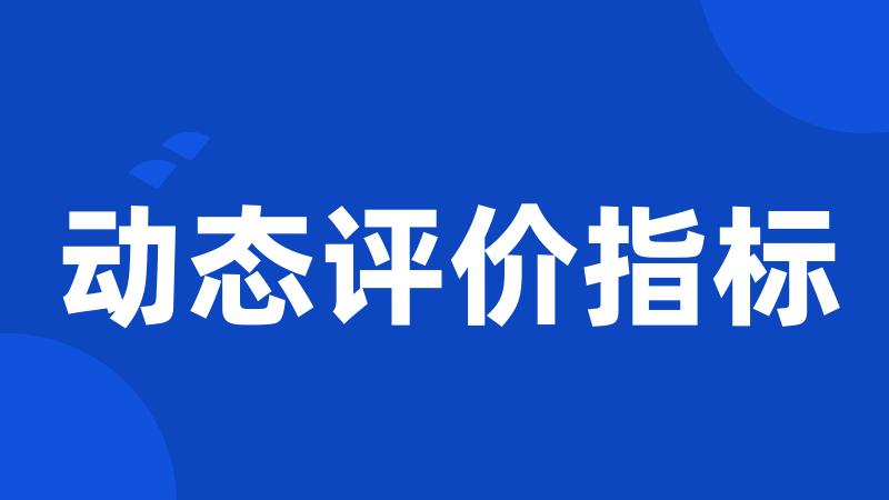 动态评价指标