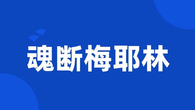 魂断梅耶林