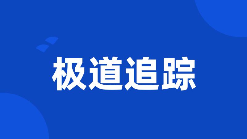 极道追踪