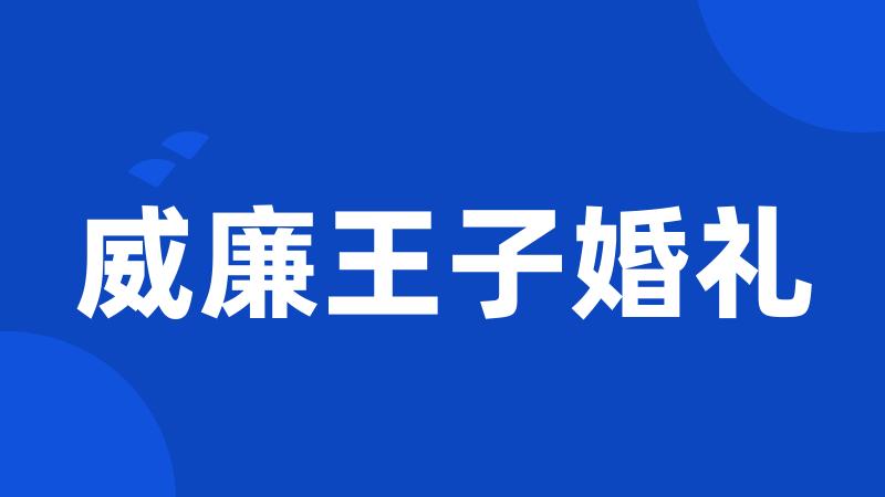 威廉王子婚礼