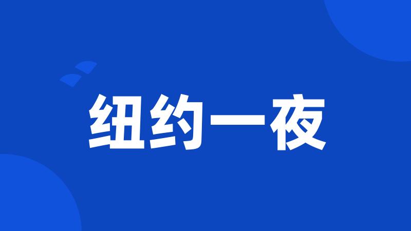 纽约一夜