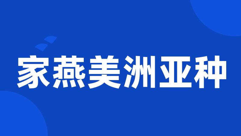 家燕美洲亚种