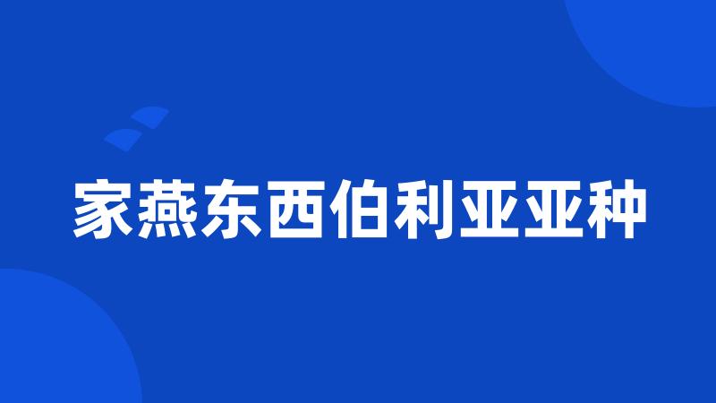 家燕东西伯利亚亚种