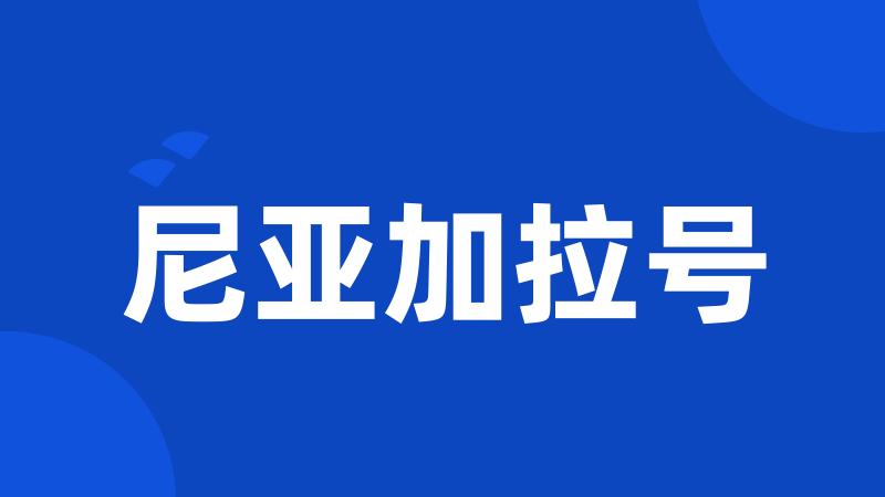 尼亚加拉号