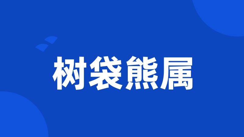 树袋熊属