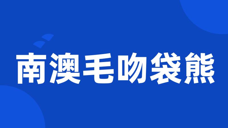 南澳毛吻袋熊