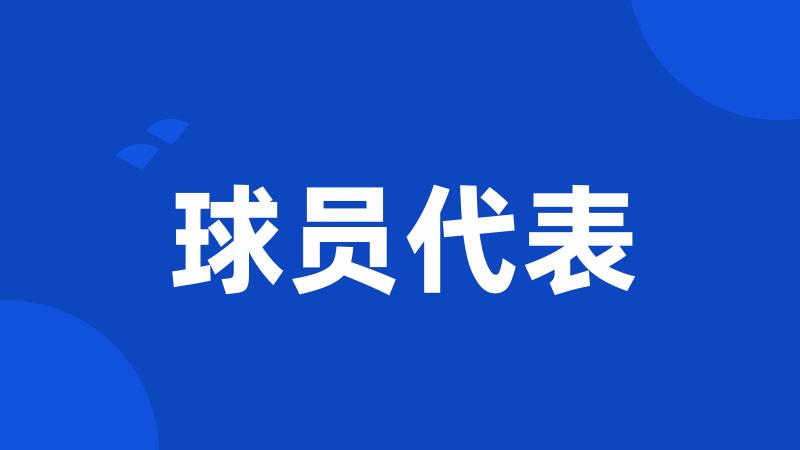 球员代表