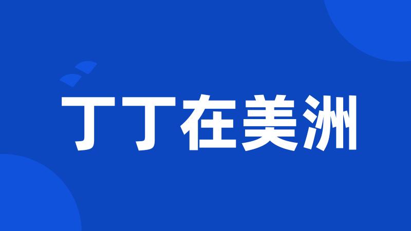 丁丁在美洲
