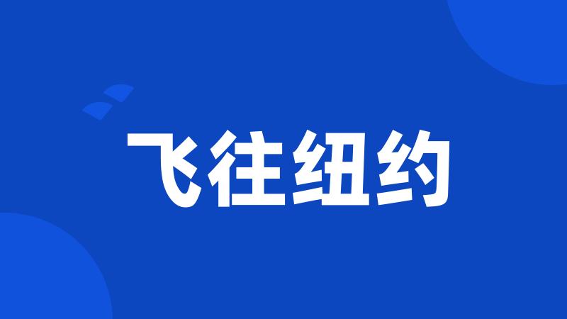 飞往纽约