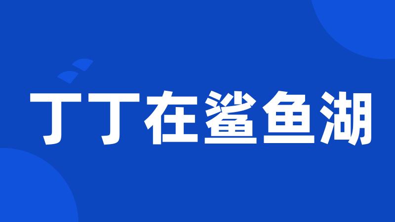 丁丁在鲨鱼湖