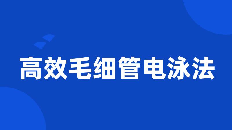 高效毛细管电泳法