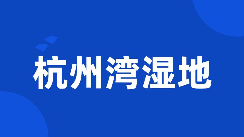 杭州湾湿地
