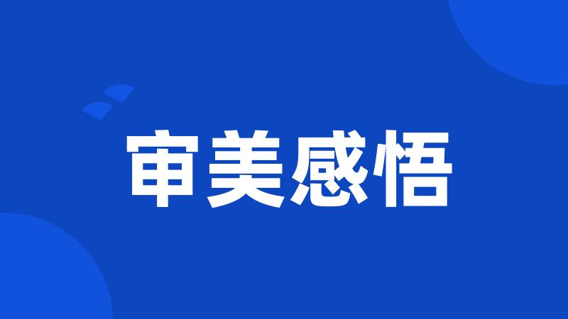 审美感悟