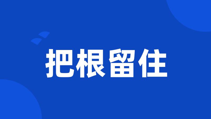 把根留住