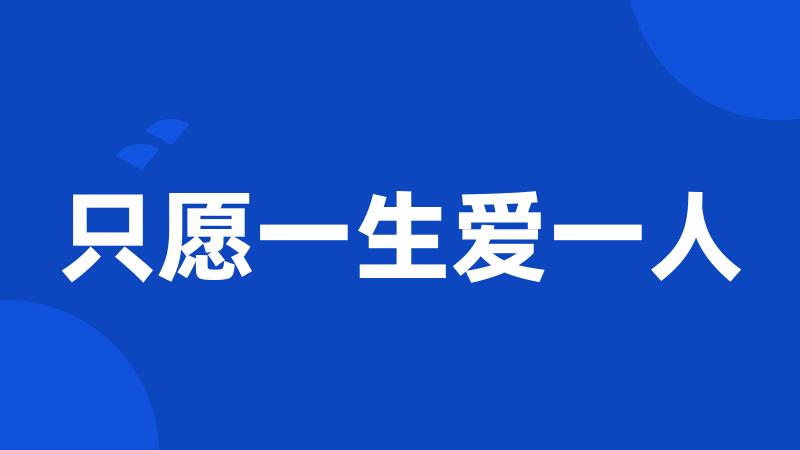 只愿一生爱一人