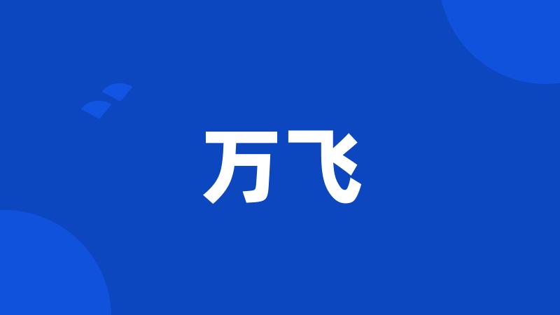 万飞