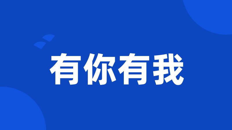 有你有我