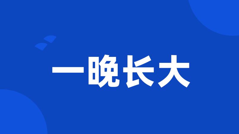 一晚长大