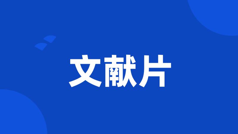 文献片
