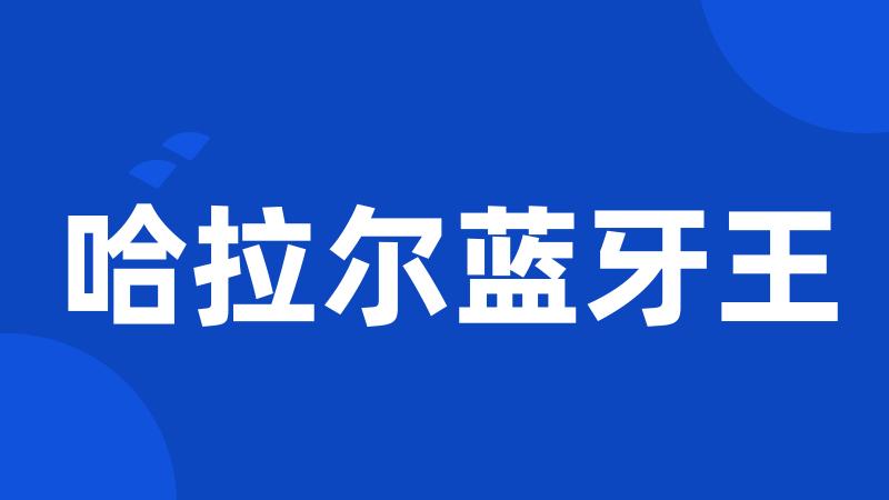 哈拉尔蓝牙王