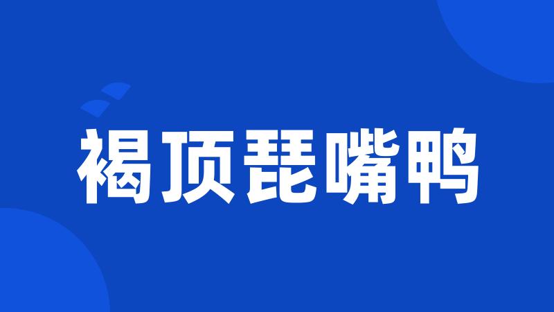 褐顶琵嘴鸭