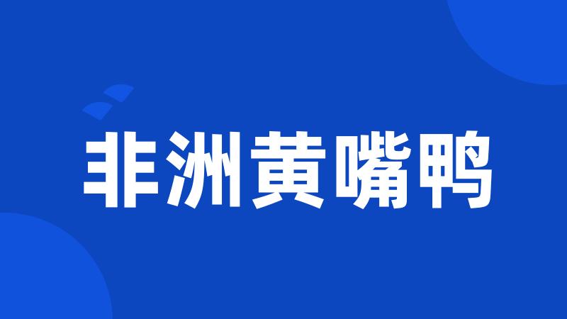 非洲黄嘴鸭