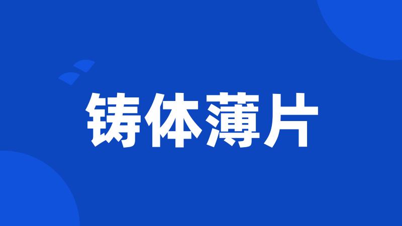 铸体薄片