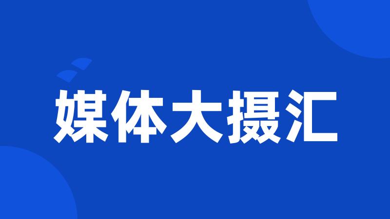 媒体大摄汇