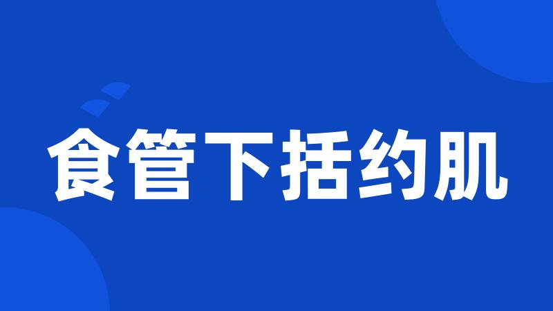 食管下括约肌