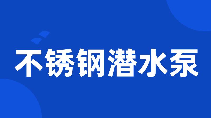 不锈钢潜水泵