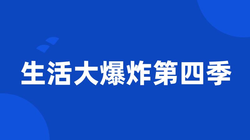 生活大爆炸第四季