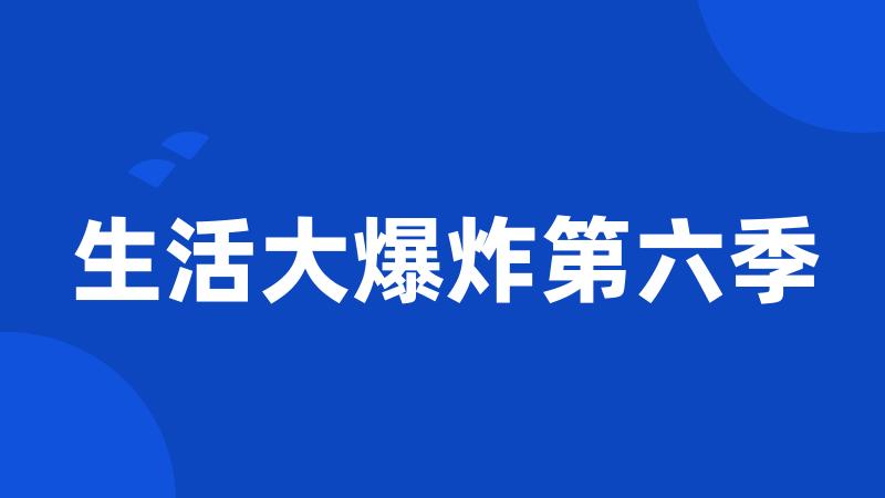 生活大爆炸第六季