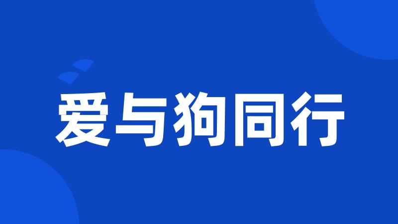 爱与狗同行
