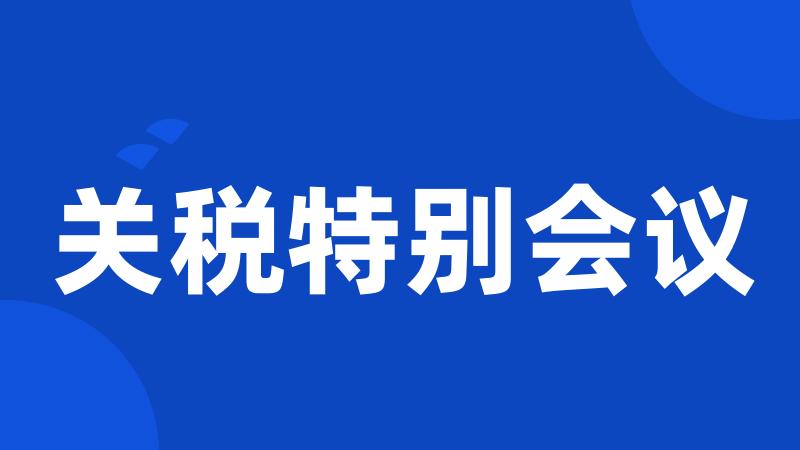 关税特别会议